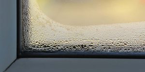 Damp-or-condensation-300x150.jpg