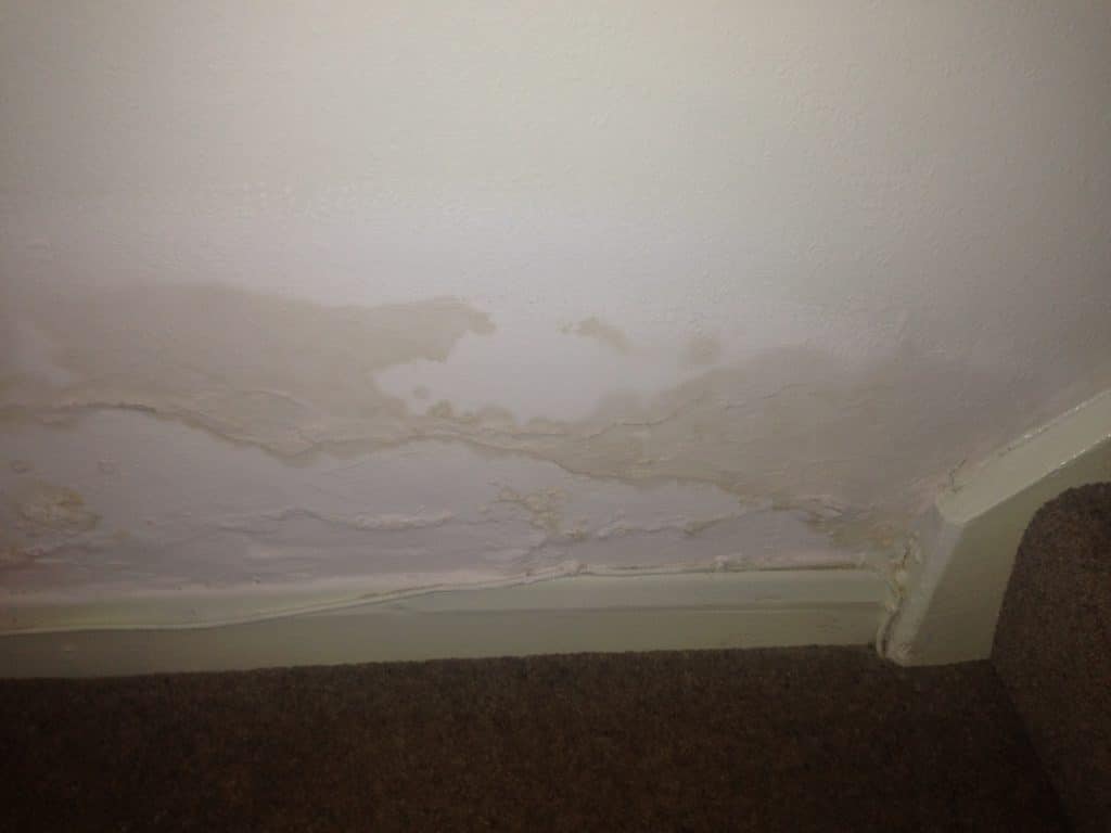 4 types of damp that could ruin your home Kempton Carr Croft